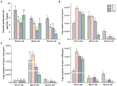 Frontiers | Effects Of Sulfadiazine And Cu On Soil Potential ...